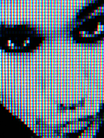 Avatar de Usuario