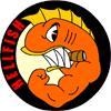 Avatar de Usuario