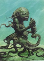 Avatar de Usuario