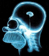 Avatar de Usuario
